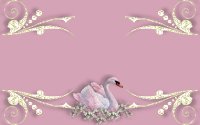 pinkswan_.jpg