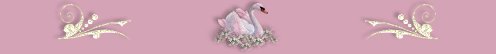 pinkswan_bar.jpg