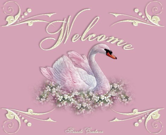 pinkswan_welcome.jpg